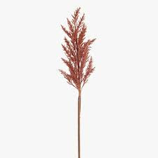 PLUME GRASS - DUSTY PINK