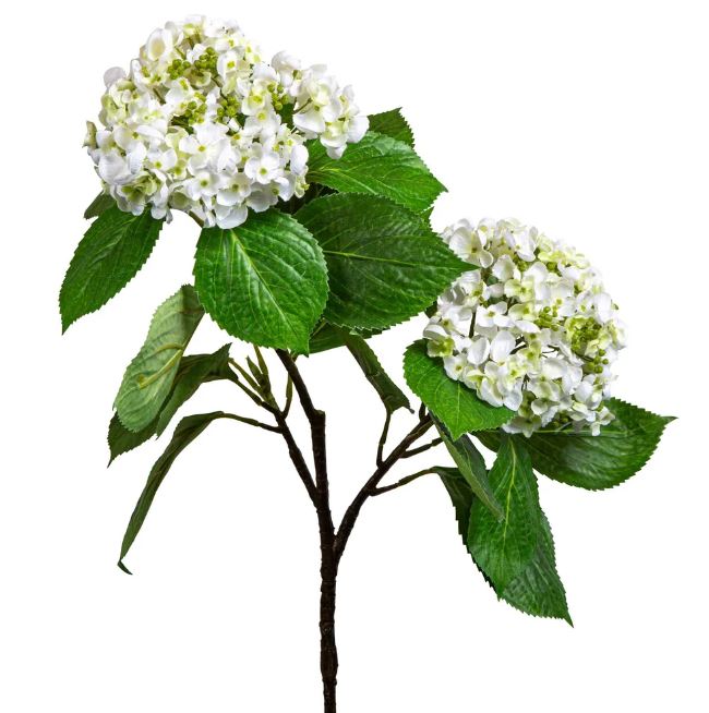 HYDRANGEA WITH LEAVES STEM - WHITE